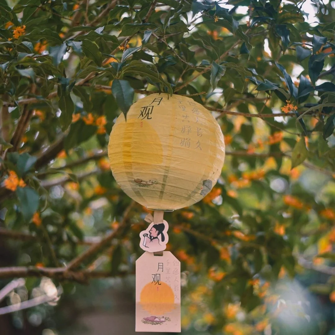 Admiring Osmanthus Flowers - Mid-Autumn Festival 2026 - The China Journey - Mid-Autumn Festival 2026 - The China Journey Admiring Osmanthus Flowers - Mid-Autumn Festival 2026 - The China Journey - Mid-Autumn Festival 2026 - The China Journey