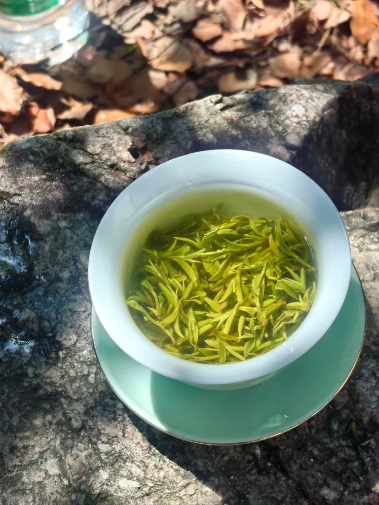 A bowl of freshly brewed Xinyang Maojian tea on a natural rock surface showcasing its vibrant green leaves and clear liquor
