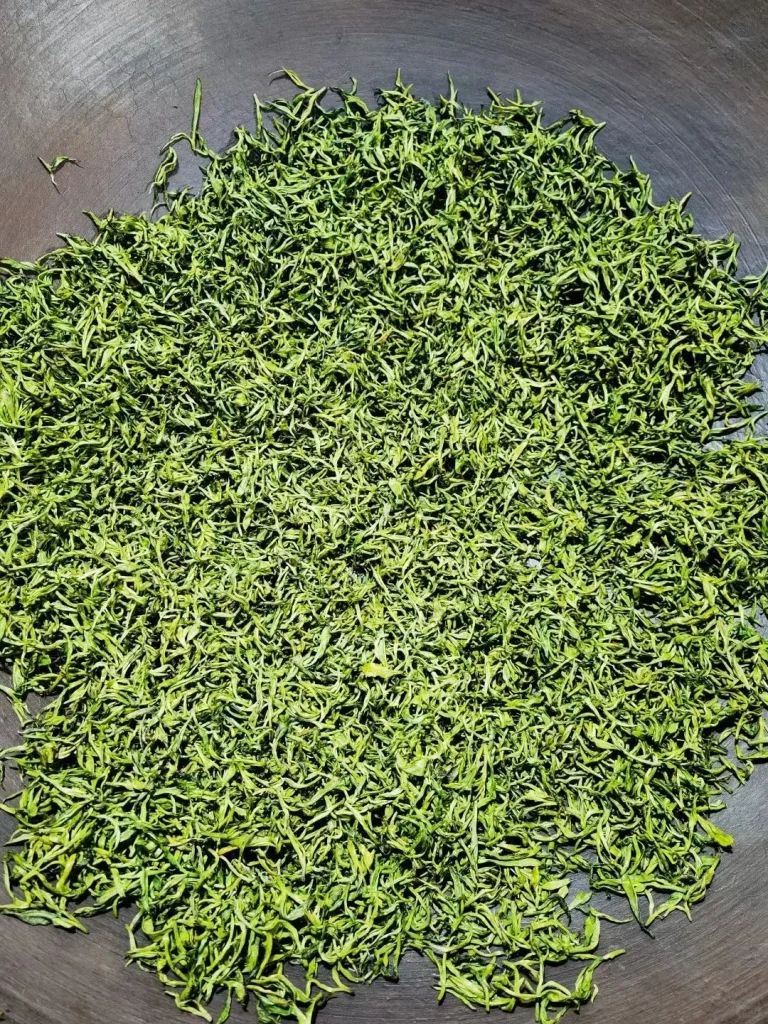 A large batch of vibrant green Duyun Maojian tea leaves drying in a traditional roasting pan