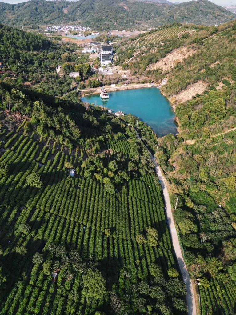 Aerial view of a scenic tea plantation and turquoise pond at a Biluochun tea estate
