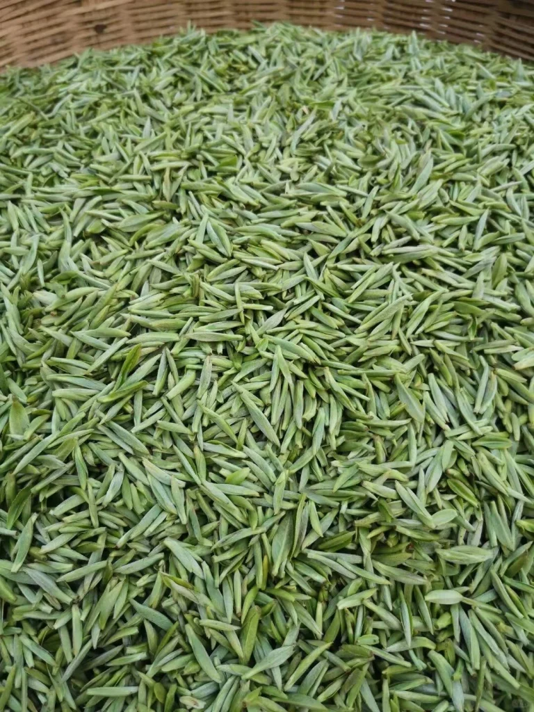 Bowl of premium Xinyang Maojian tea leaves steeping in hot water highlighting the delicate and aromatic quality