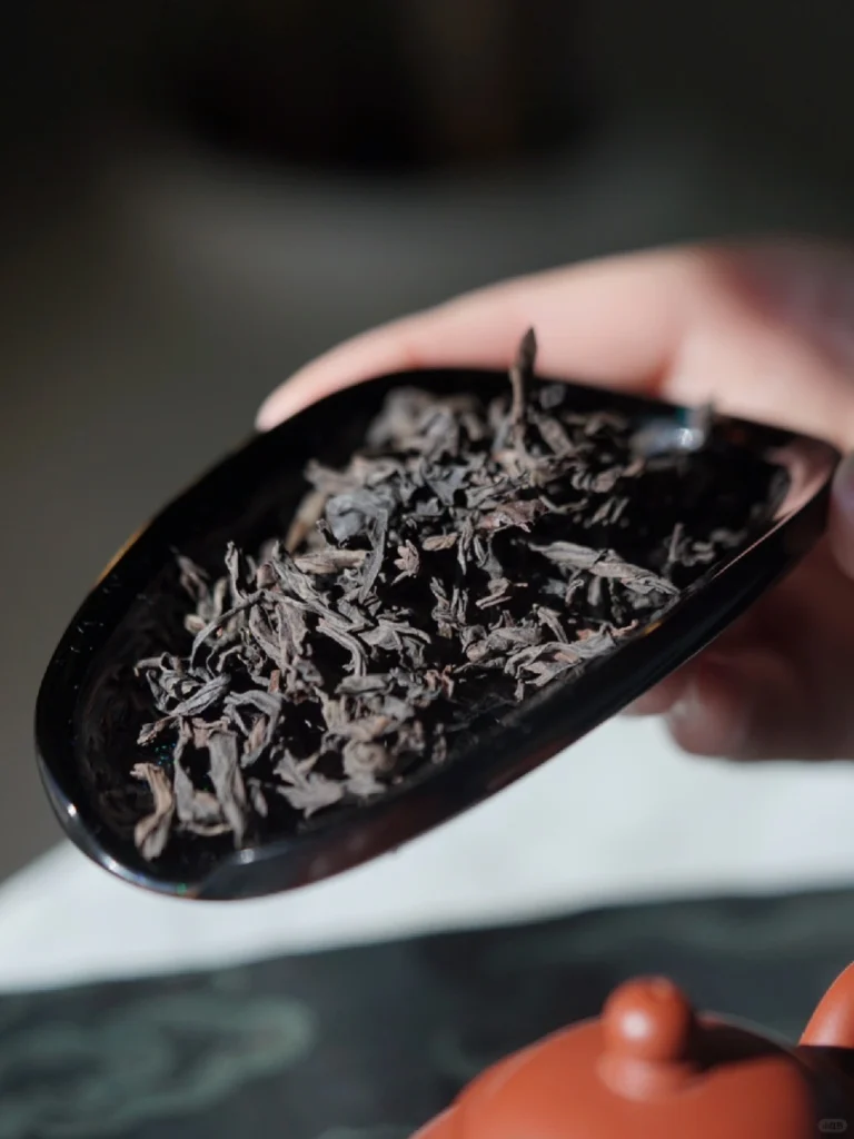 Close Up of Wuyi Rock Tea Leaves in a Tea Scoop