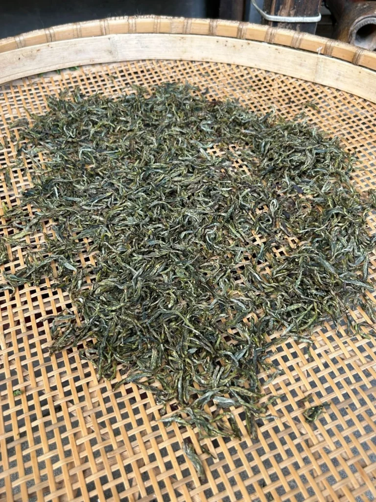 Dried Huangshan Maofeng tea leaves on a bamboo tray showcasing their curled shape and golden tips