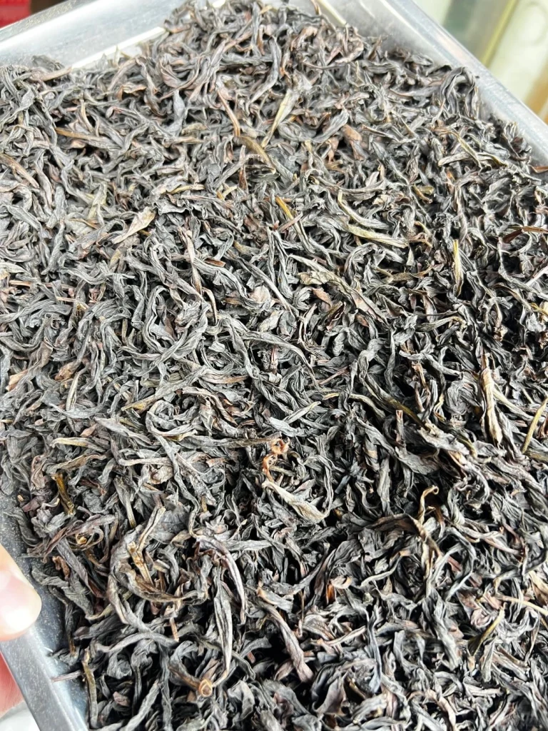 Dried Wuyi Rock Tea Leaves on a Tray for Inspection