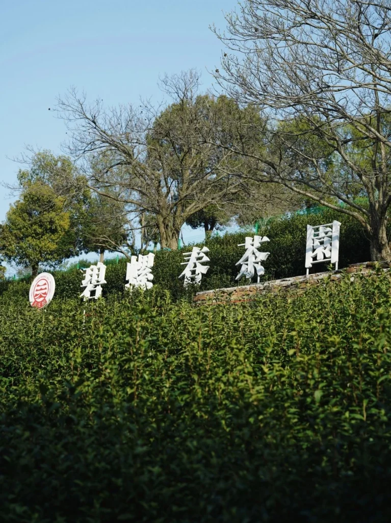 Entrance to a tea plantation labeled Biluochun Tea Garden surrounded by lush greenery