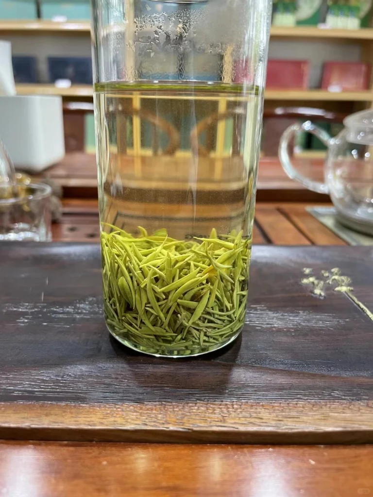 Glass cup of Xinyang Maojian tea steeping with fresh tea leaves floating and unfurling in hot water