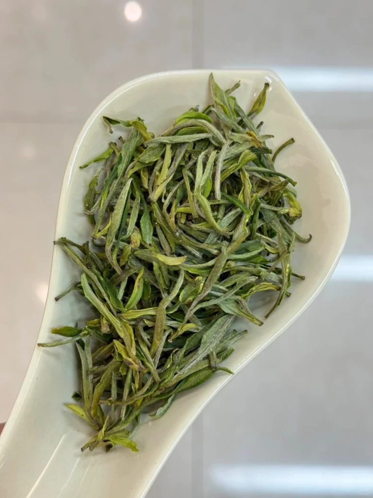 Premium grade Huangshan Maofeng tea leaves on a porcelain spoon showcasing their silvery tips and velvety texture