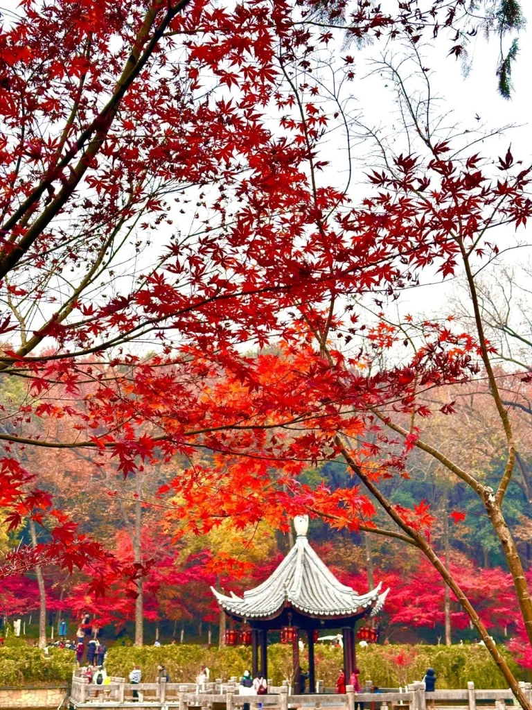 Qixia Mountain
