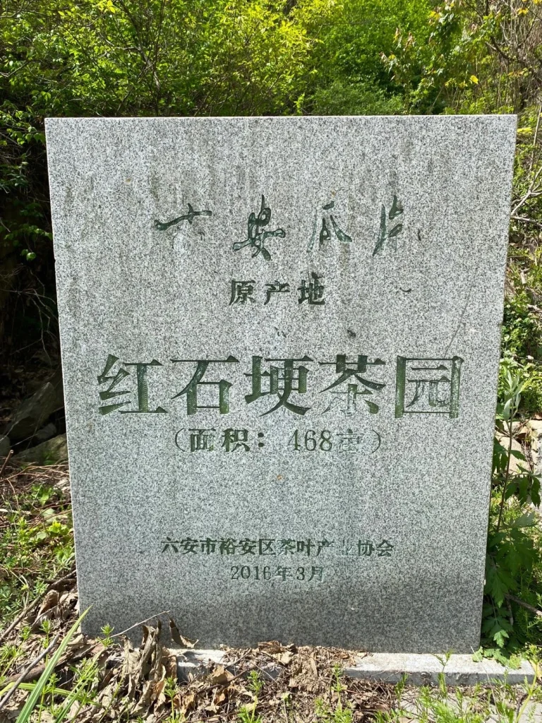 Stone tablet marking the Hongshi Dui Tea Garden a protected origin of Luan Guapian tea