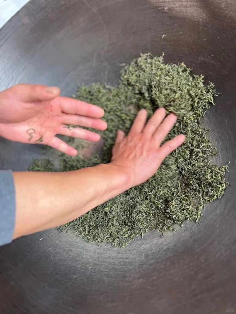 Traditional hand rolling process of Biluochun tea leaves in a large wok