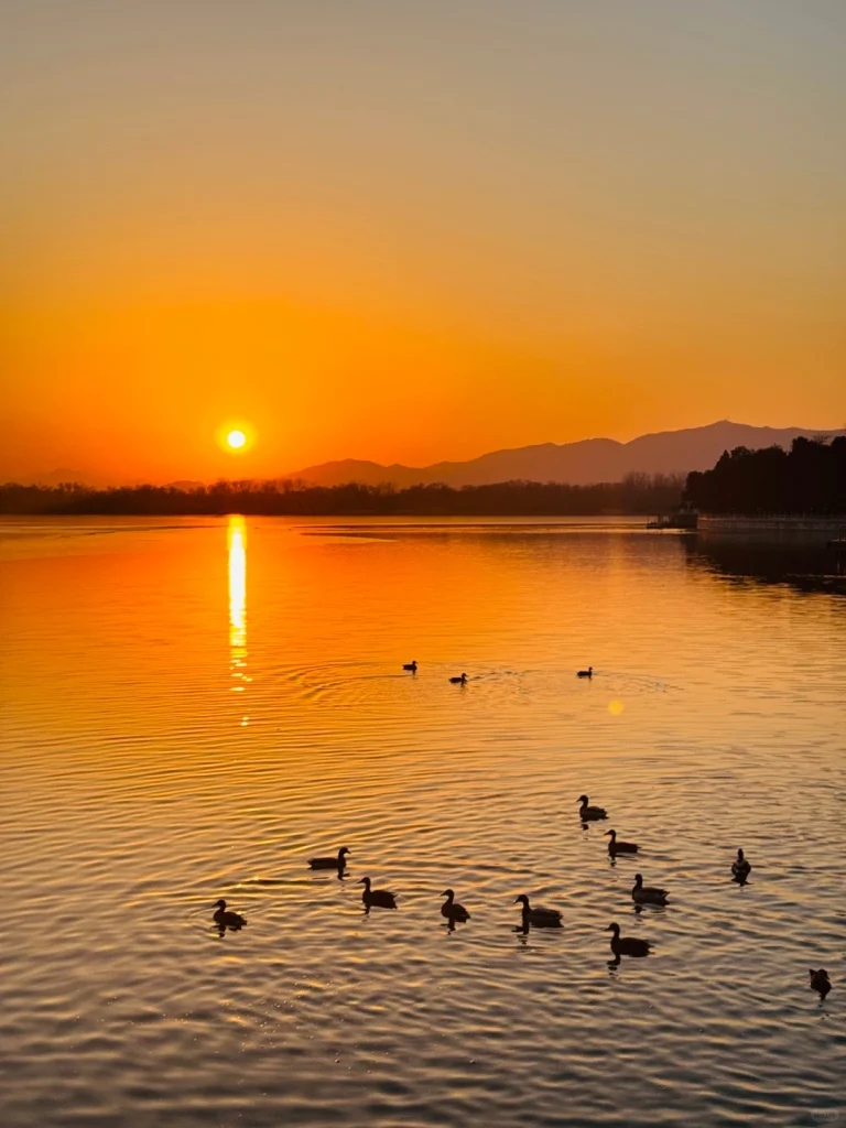 Golden sunset over a Beijing lake with silhouettes of ducks swimming peacefully