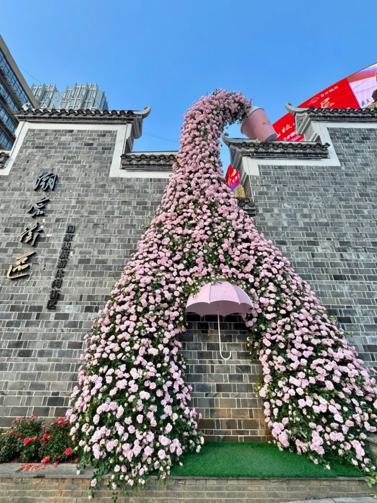 Huangxing Pedestrian Street Changsha A romantic floral installation featuring a cascading wall of pink roses and an umbrella a popular photo spot in Changsha China