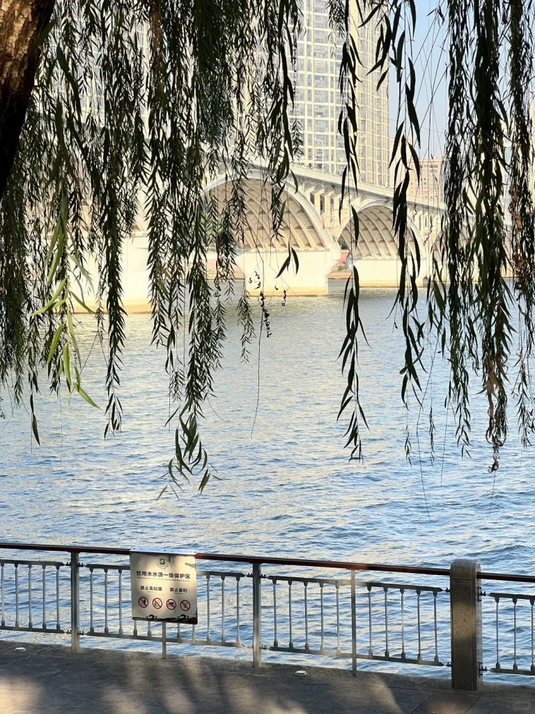 Xiang River Changsha A peaceful riverside view of the Xiang River in Changsha framed by hanging willow branches