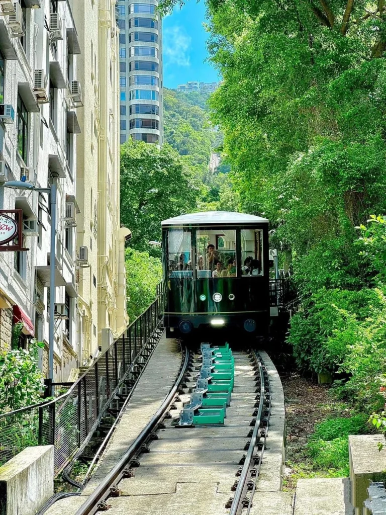A funicular railway climbing up the hillside in Hong Kong passing through lush greenery with city buildings in the distance