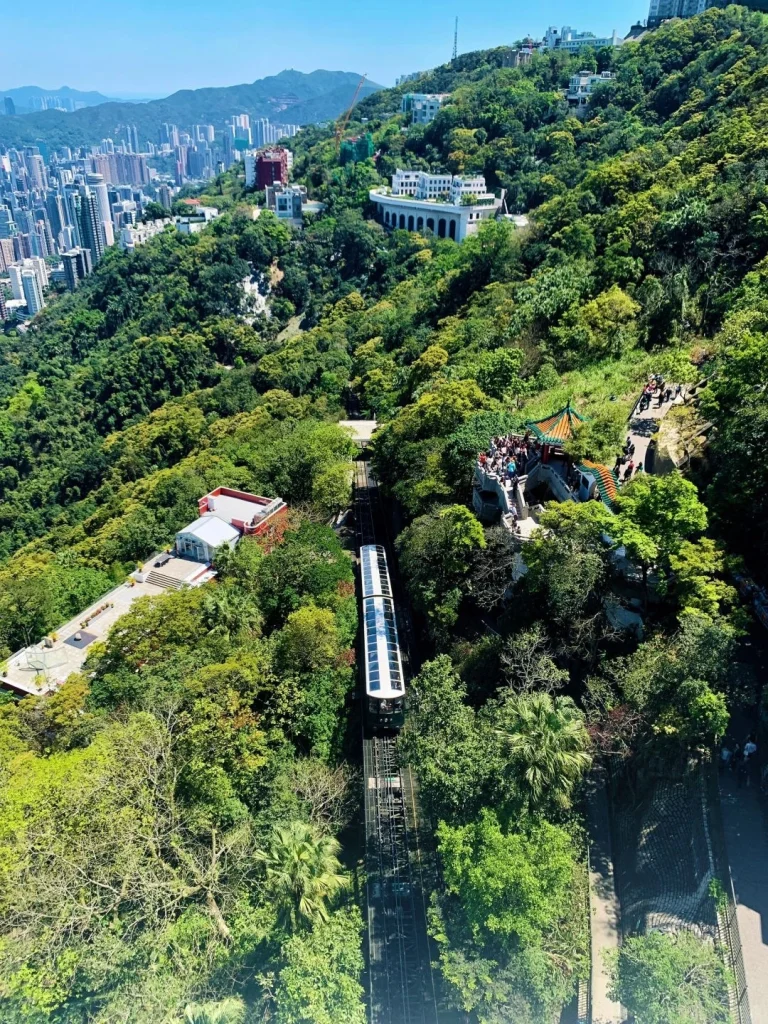 A view from the Peak showing the panoramic scenery of Hong Kong with dense greenery and city buildings