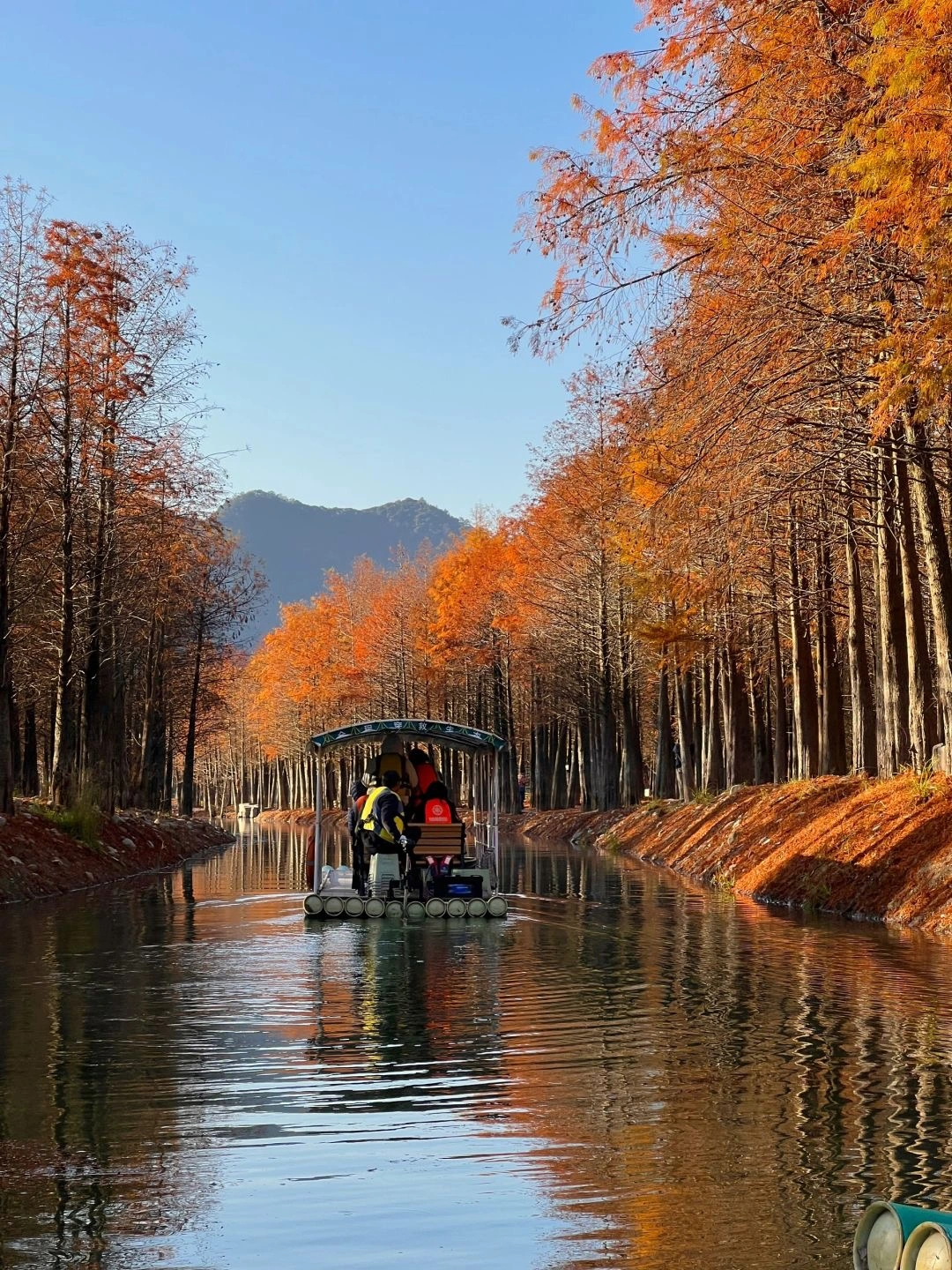 In barca attraverso una foresta dai colori autunnali Una barca scivola dolcemente lungo un corso d'acqua fiancheggiato da vivaci alberi autunnali in Anhui sotto il cielo azzurro - Guida di viaggio dell'Anhui: itinerari, consigli e percorsi 2026 - The China Journey In barca attraverso una foresta dai colori autunnali Una barca scivola dolcemente lungo un corso d'acqua fiancheggiato da vivaci alberi autunnali in Anhui sotto il cielo azzurro - Guida di viaggio dell'Anhui: itinerari, consigli e percorsi 2026 - The China Journey