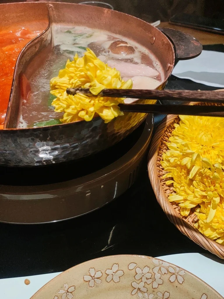 Chrysanthemum Hot Pot in Jiangsu and Zhejiang Picking chrysanthemum with chopsticks over the pot