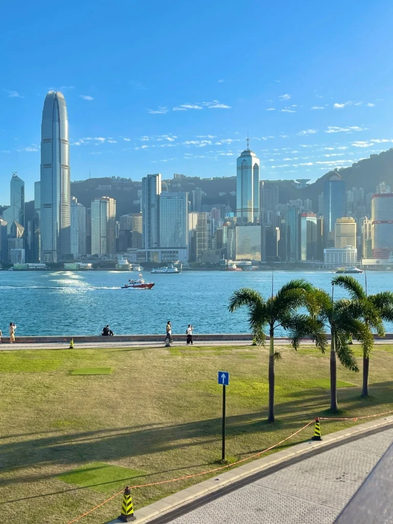 Hong Kong skyline view with lush palm trees and sea Scenic view of Hong Kongs skyline and waterfront with a peaceful park area and palm trees in the foreground