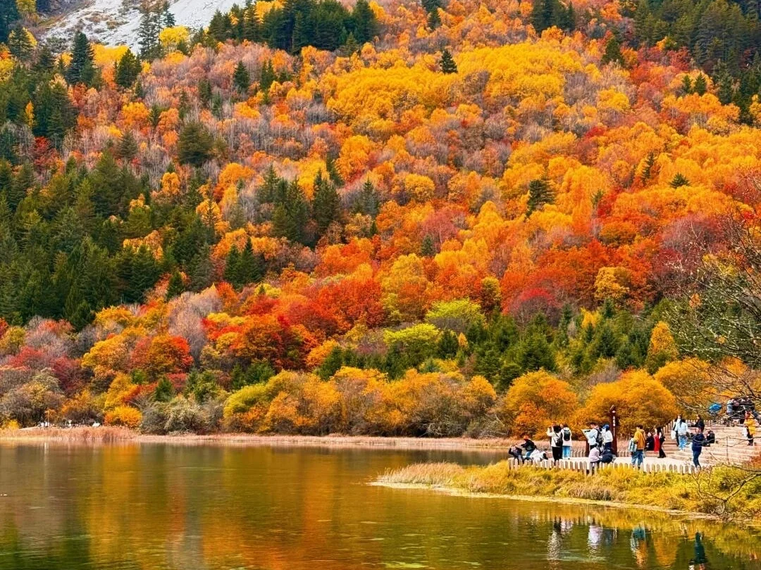 Colorful autumn foliage reflecting in lake at Jiuzhaigou National Park, Sichuan, China - Jiuzhaigou Guide: Routes, Tips & Seasons 2026 - The China Journey Colorful autumn foliage reflecting in lake at Jiuzhaigou National Park, Sichuan, China - Jiuzhaigou Guide: Routes, Tips & Seasons 2026 - The China Journey