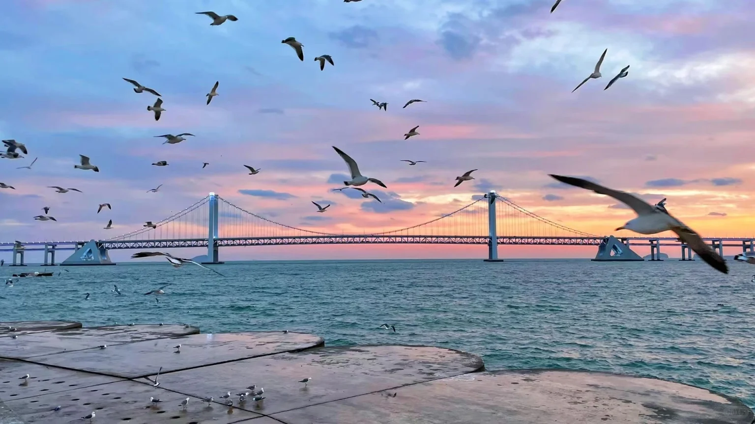 Puente de Dalian y gaviotas Vista panorámica del puente de Dalian al atardecer con gaviotas sobrevolando, creando un momento pintoresco de belleza natural - Liaoning, lugar de nacimiento de la dinastía Qing y capitales imperiales 2026 - El viaje a China - Provincias de China - Descubre la cultura y el patrimonio regional - El viaje a China Puente de Dalian y gaviotas Vista panorámica del puente de Dalian al atardecer con gaviotas sobrevolando, creando un momento pintoresco de belleza natural - Liaoning, lugar de nacimiento de la dinastía Qing y capitales imperiales 2026 - El viaje a China - Provincias de China - Descubre la cultura y el patrimonio regional - El viaje a China
