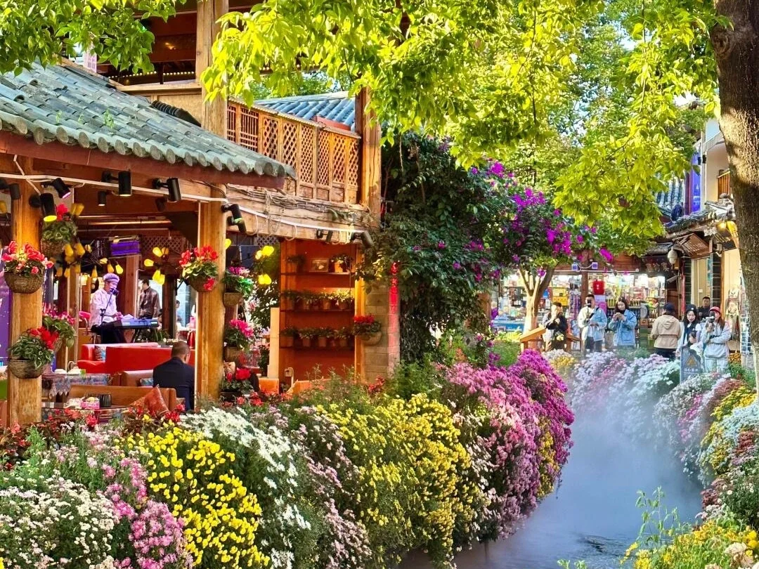 Lijiang Old Town spring Flower Stream – Colorful flowers lining a canal beside traditional Naxi wooden houses under lush spring greenery in Lijiang, Yunna - Where to Stay in Yunnan: Best Areas & Hotels 2026 - The China Journey Lijiang Old Town spring Flower Stream – Colorful flowers lining a canal beside traditional Naxi wooden houses under lush spring greenery in Lijiang, Yunna - Where to Stay in Yunnan: Best Areas & Hotels 2026 - The China Journey