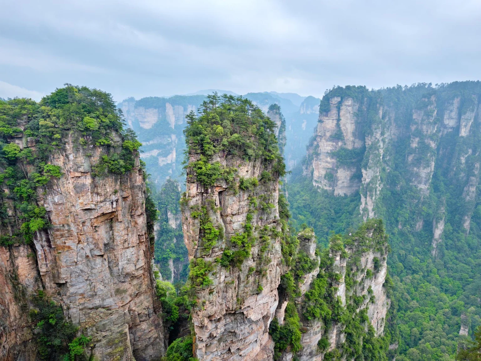 Tebing-tebing menjulang megah di Taman Hutan Nasional Zhangjiajie diselimuti kabut dan dikelilingi oleh tanaman hijau subur menciptakan lanskap alam yang menakjubkan - Zhangjiajie, Bonsai yang Diperbesar, Negeri Dongeng Miniatur 2026 - Perjalanan ke Tiongkok - Bahasa Mandarin - Perjalanan ke Tiongkok Tebing-tebing menjulang megah di Taman Hutan Nasional Zhangjiajie diselimuti kabut dan dikelilingi oleh tanaman hijau subur menciptakan lanskap alam yang menakjubkan - Zhangjiajie, Bonsai yang Diperbesar, Negeri Dongeng Miniatur 2026 - Perjalanan ke Tiongkok - Bahasa Mandarin - Perjalanan ke Tiongkok