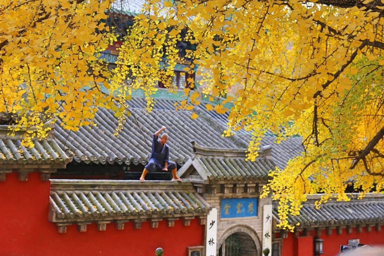 Seni Bela Diri di Gunung Song: Para biksu Shaolin berlatih seni bela diri di Gunung Song yang dikelilingi alam, menampilkan hubungan spiritual antara kung fu dan lanskap sekitarnya - Dengfeng, Rumah Kuil Shaolin dan Gunung Song 2026 - Perjalanan ke Tiongkok - Bahasa Mandarin - Perjalanan ke Tiongkok Seni Bela Diri di Gunung Song: Para biksu Shaolin berlatih seni bela diri di Gunung Song yang dikelilingi alam, menampilkan hubungan spiritual antara kung fu dan lanskap sekitarnya - Dengfeng, Rumah Kuil Shaolin dan Gunung Song 2026 - Perjalanan ke Tiongkok - Bahasa Mandarin - Perjalanan ke Tiongkok