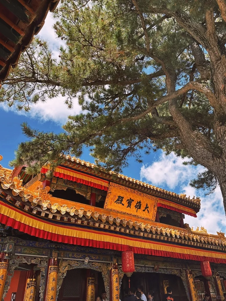 Mount Wutai Shanxi Traditional golden roofed Buddhist hall under pine tree and blue sky intricate architecture details visible