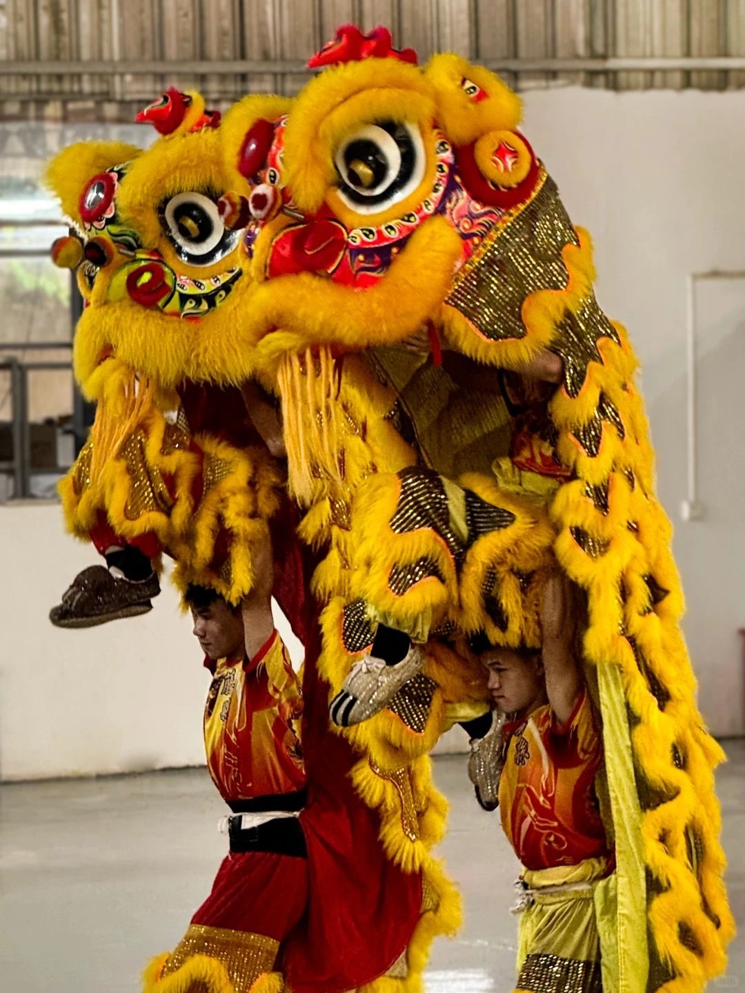 Tengxian Løvedans - Guangxi, Ba Gui-kultur og ikoniske Guilin-bjergudsigter 2026 - Kinarejsen - Guangxi, Ba Gui-kultur og ikoniske Guilin-bjergudsigter 2026 - Kinarejsen Tengxian Løvedans - Guangxi, Ba Gui-kultur og ikoniske Guilin-bjergudsigter 2026 - Kinarejsen - Guangxi, Ba Gui-kultur og ikoniske Guilin-bjergudsigter 2026 - Kinarejsen