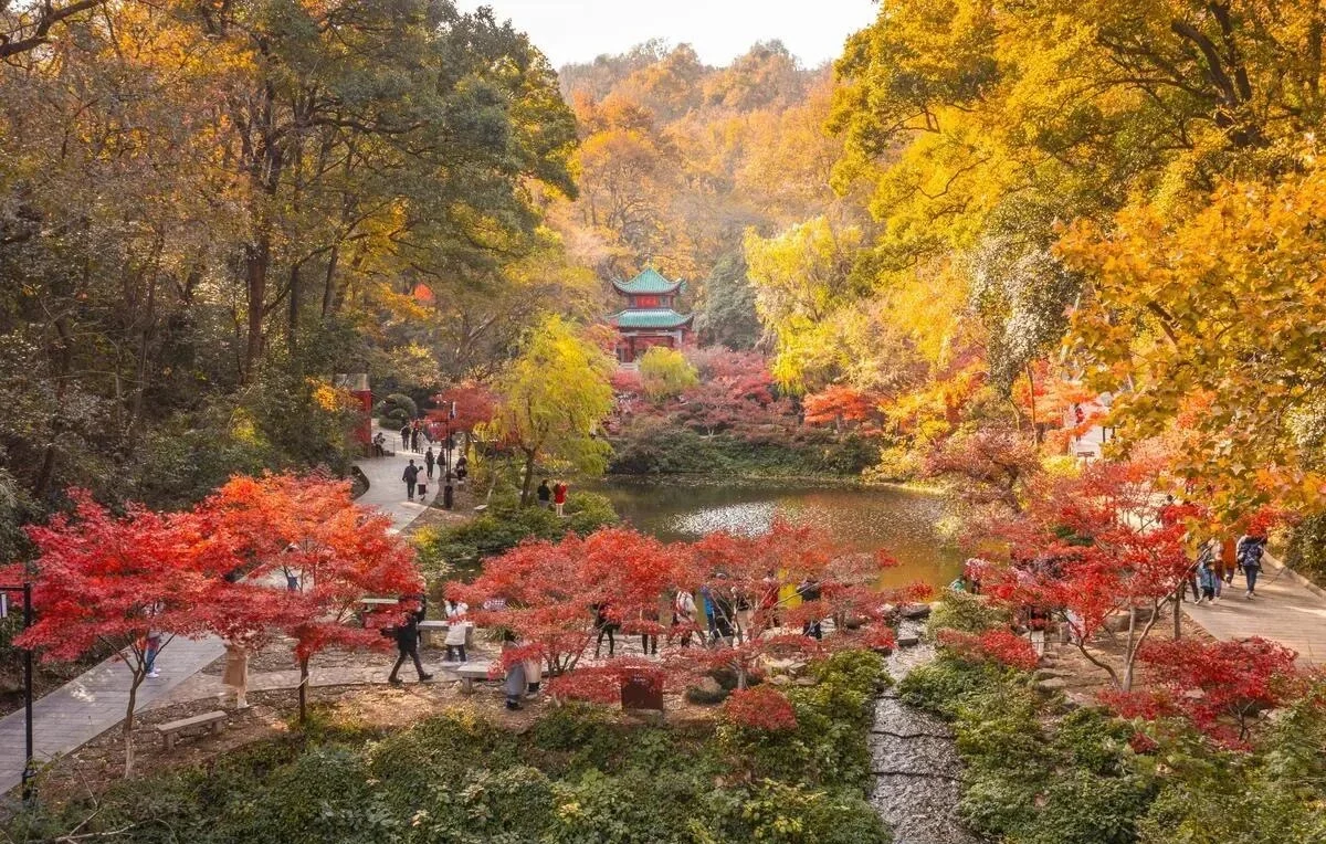Autumn foliage trail at Yuelu Mountain in Changsha, with red maple trees and traditional pavilion by the lake - Where to Stay in Changsha: Best Areas & Hotels 2026 - The China Journey Autumn foliage trail at Yuelu Mountain in Changsha, with red maple trees and traditional pavilion by the lake - Where to Stay in Changsha: Best Areas & Hotels 2026 - The China Journey