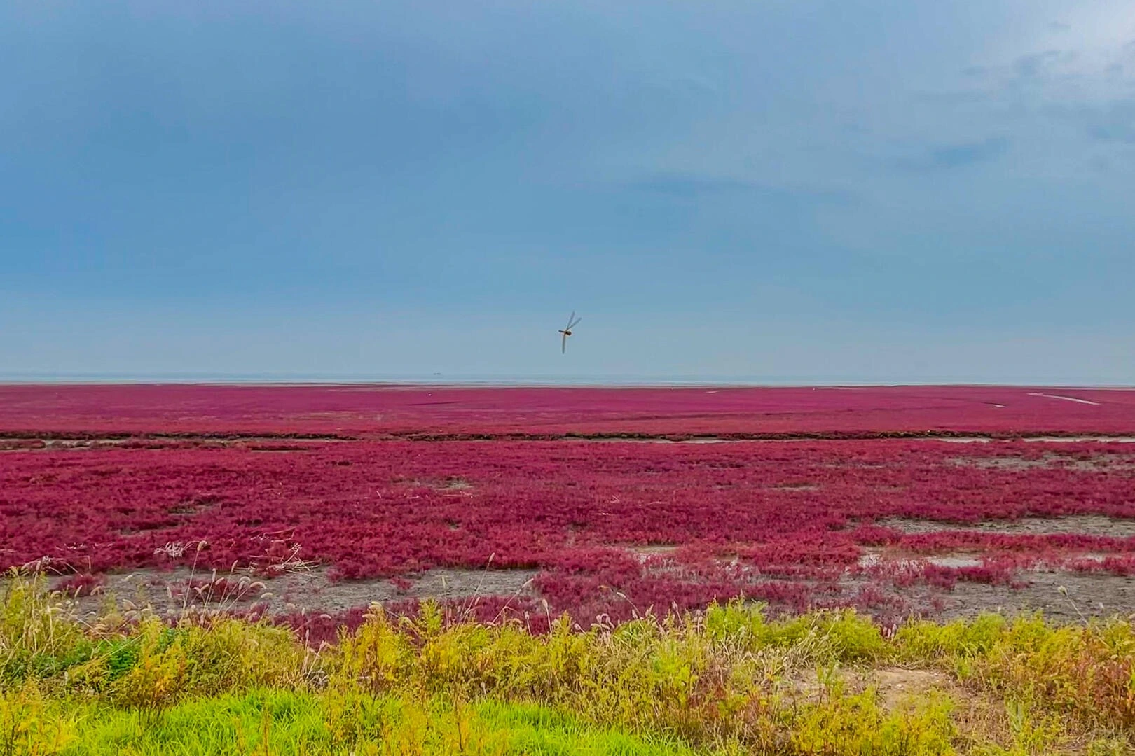 Landschaft am Roten Strand von Panjin mit leuchtend rotem Queller unter blauem Himmel – Liaoning-Reiseführer: Routen, Tipps & Reisepläne 2026 – The China Journey Landschaft am Roten Strand von Panjin mit leuchtend rotem Queller unter blauem Himmel – Liaoning-Reiseführer: Routen, Tipps & Reisepläne 2026 – The China Journey