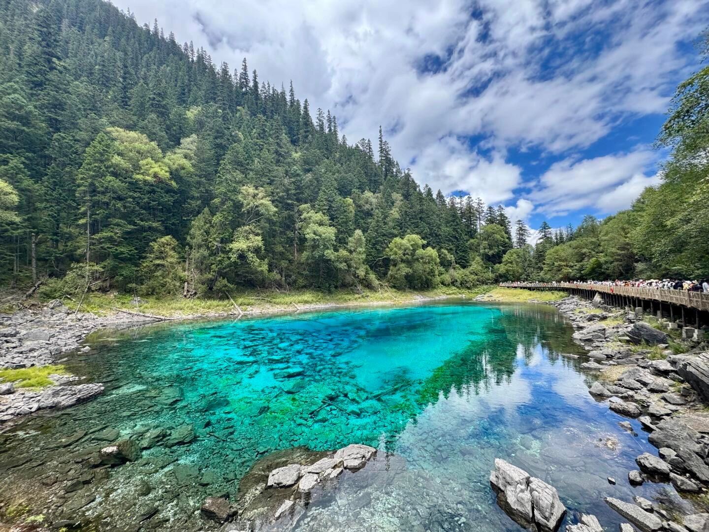 Five Color Pond Vibrant turquoise pool in forest valley - Jiuzhaigou Guide: Routes, Tips & Seasons 2026 - The China Journey Five Color Pond Vibrant turquoise pool in forest valley - Jiuzhaigou Guide: Routes, Tips & Seasons 2026 - The China Journey