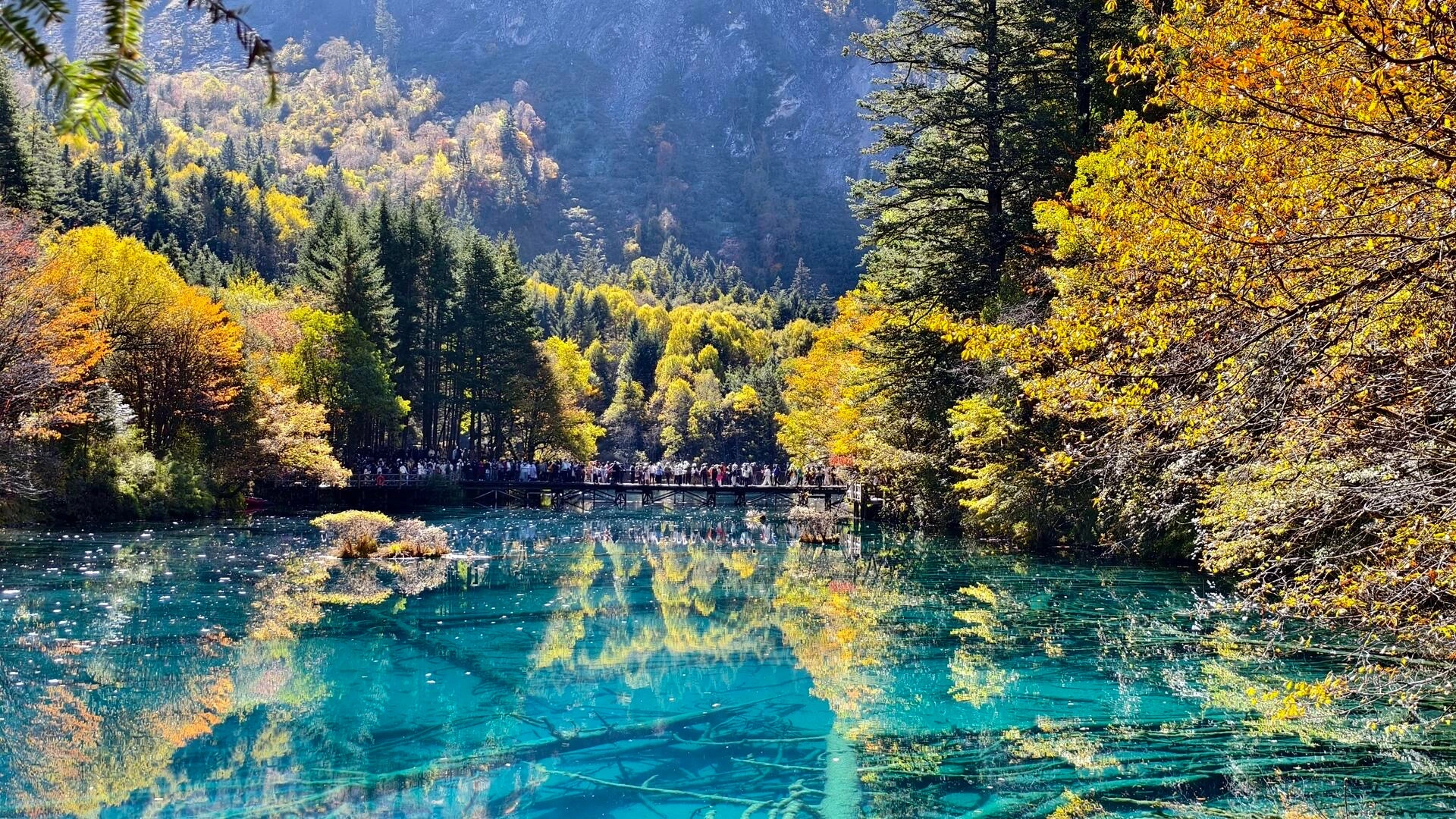 Five Flower Lake Autumn Colorful forest reflecting on clear water - Jiuzhaigou Guide: Routes, Tips & Seasons 2026 - The China Journey Five Flower Lake Autumn Colorful forest reflecting on clear water - Jiuzhaigou Guide: Routes, Tips & Seasons 2026 - The China Journey