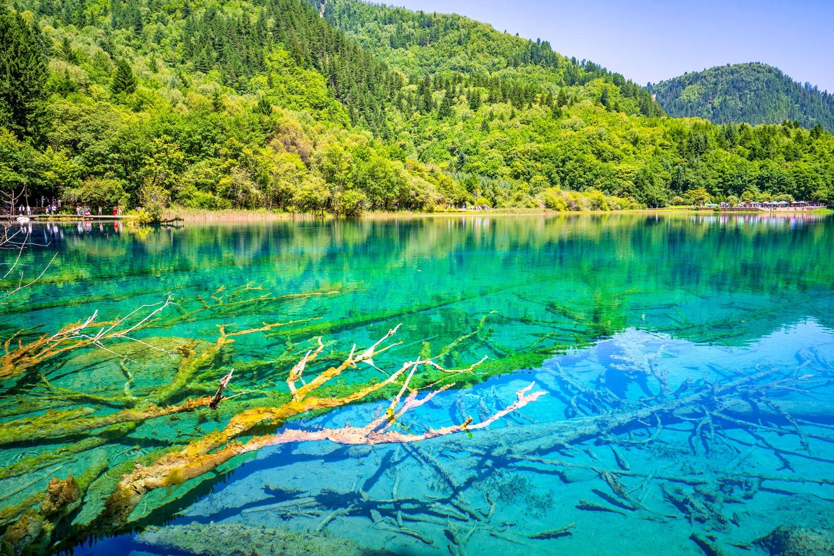 Five Flower Lake Turquoise water with submerged tree branches - Jiuzhaigou Guide: Routes, Tips & Seasons 2026 - The China Journey Five Flower Lake Turquoise water with submerged tree branches - Jiuzhaigou Guide: Routes, Tips & Seasons 2026 - The China Journey
