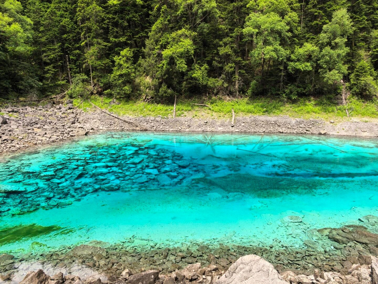 Jiuzhaigou in July – vivid blue lake under summer sunshine - Jiuzhaigou Guide: Routes, Tips & Seasons 2026 - The China Journey Jiuzhaigou in July – vivid blue lake under summer sunshine - Jiuzhaigou Guide: Routes, Tips & Seasons 2026 - The China Journey