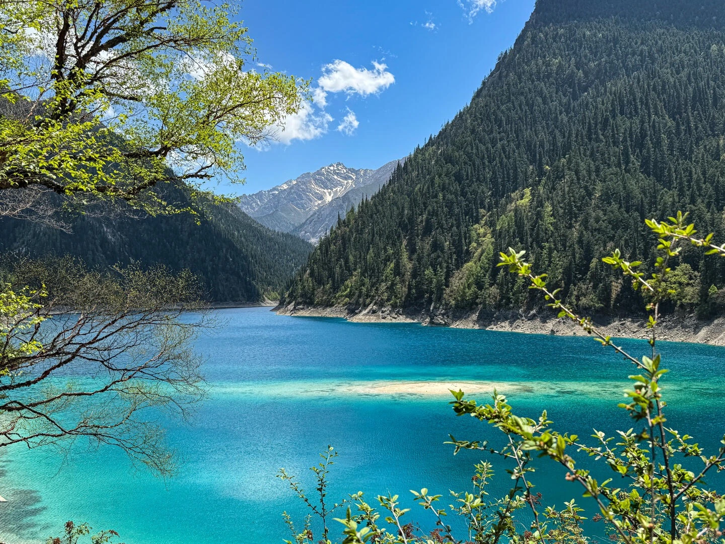 Jiuzhaigou in May – turquoise lake with spring mountain scenery - Jiuzhaigou Guide: Routes, Tips & Seasons 2026 - The China Journey Jiuzhaigou in May – turquoise lake with spring mountain scenery - Jiuzhaigou Guide: Routes, Tips & Seasons 2026 - The China Journey