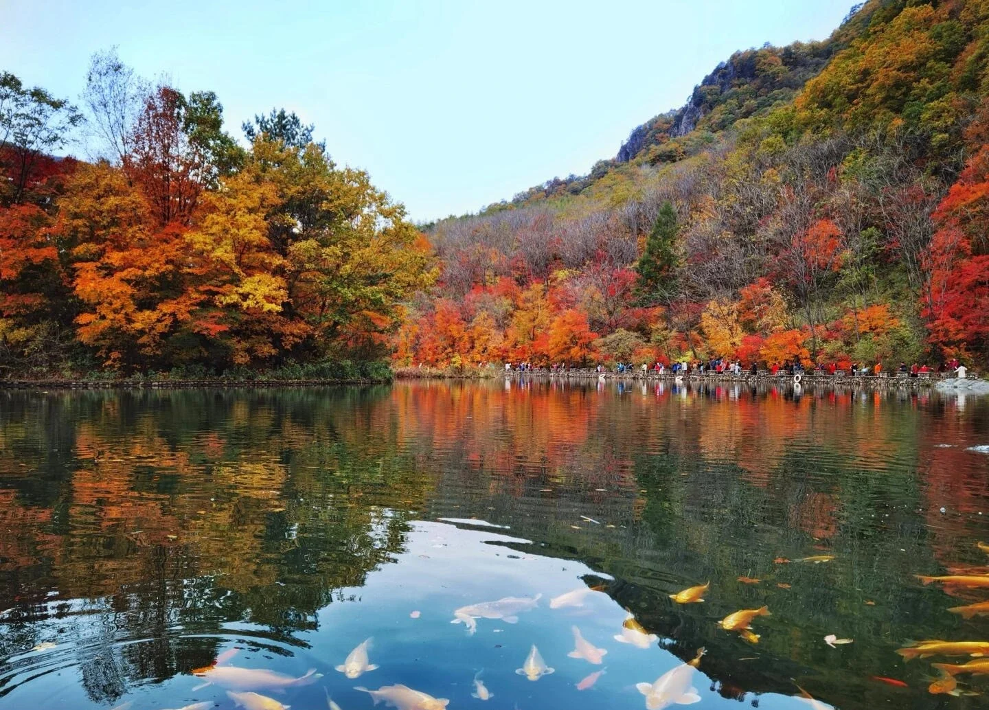 Dashihu-Landschaftssee in Benxi mit herbstlichem Wald, Spiegelung im klaren Wasser und sichtbaren Fischen – Liaoning-Reiseführer: Routen, Tipps & Reisepläne 2026 – The China Journey Dashihu-Landschaftssee in Benxi mit herbstlichem Wald, Spiegelung im klaren Wasser und sichtbaren Fischen – Liaoning-Reiseführer: Routen, Tipps & Reisepläne 2026 – The China Journey