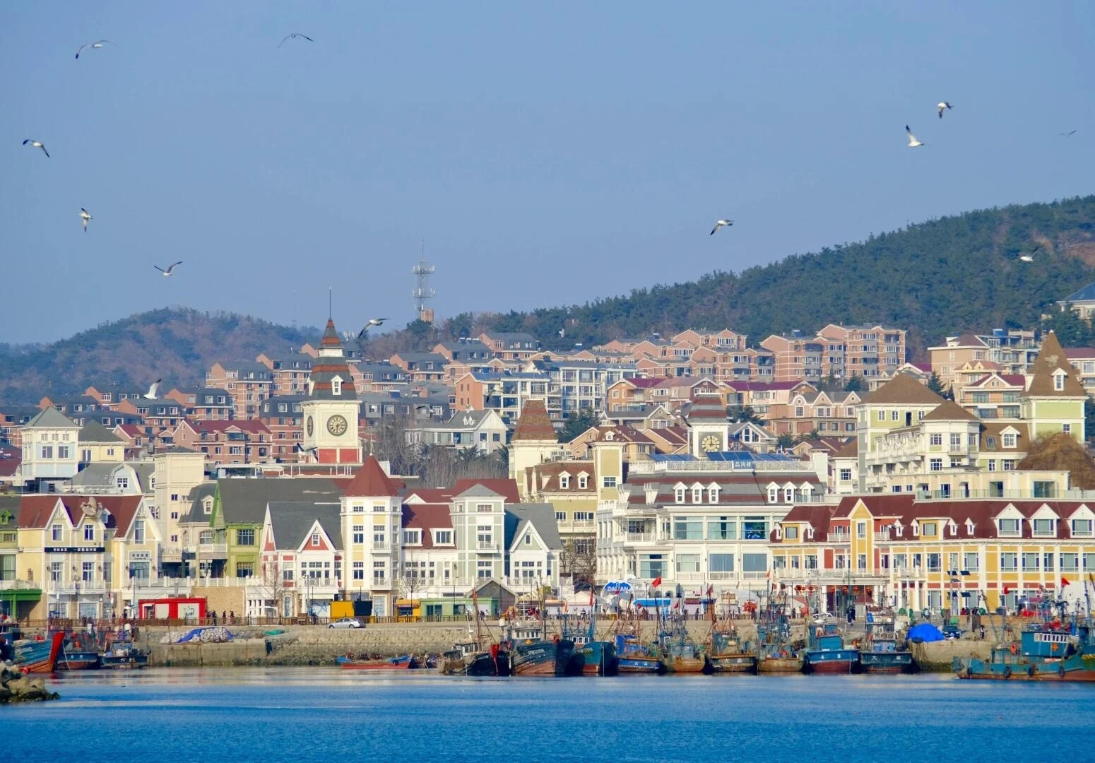 Küstenort an der Lingjiao-Bucht in Dalian mit europäischen Häusern, Fischerbooten und Möwen am ruhigen Hafen – Liaoning-Reiseführer: Routen, Tipps & Reisepläne 2026 – The China Journey Küstenort an der Lingjiao-Bucht in Dalian mit europäischen Häusern, Fischerbooten und Möwen am ruhigen Hafen – Liaoning-Reiseführer: Routen, Tipps & Reisepläne 2026 – The China Journey