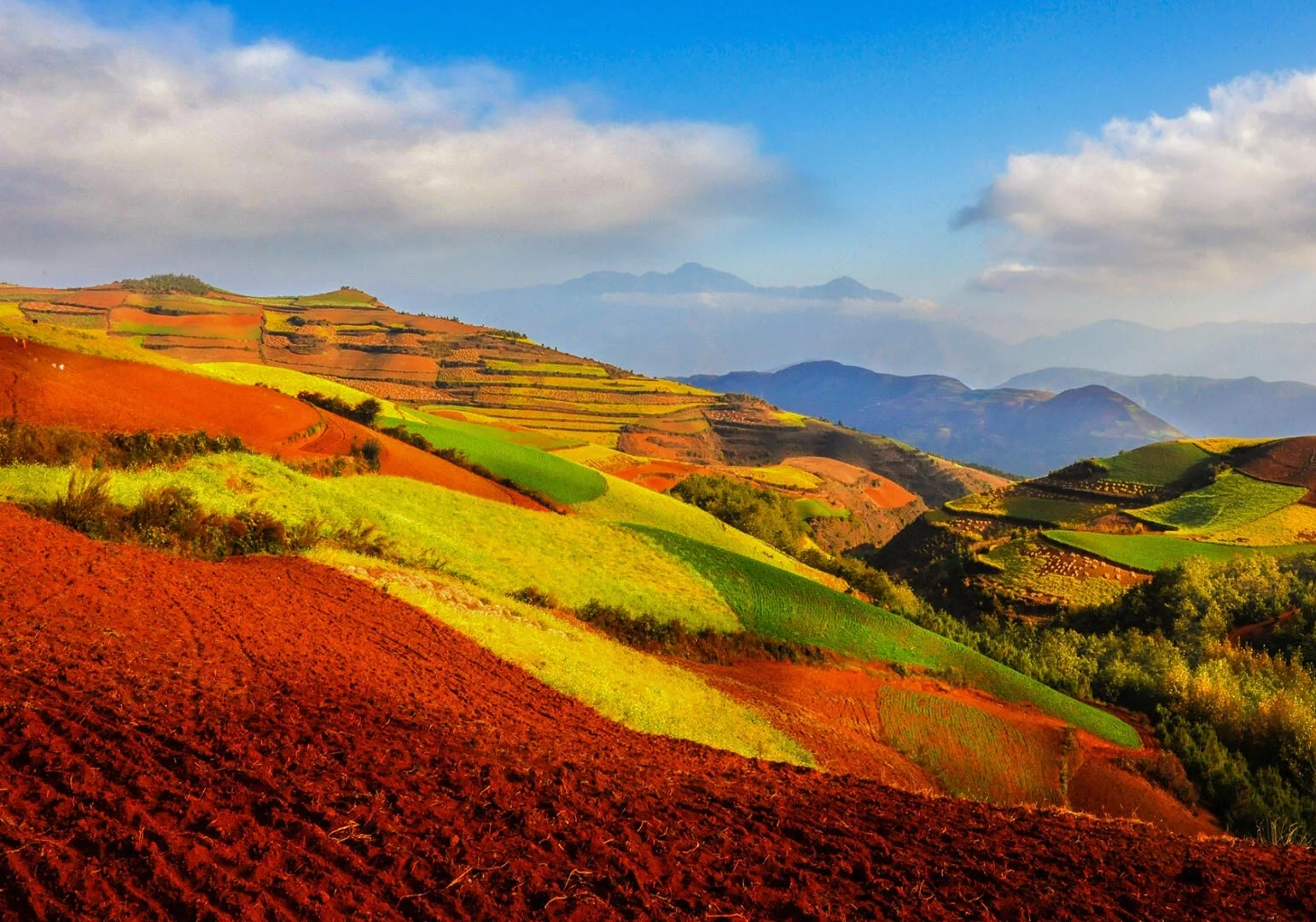 Terrassen van het Rode Land van Dongchuan bij Kunming met levendig mozaïek van landbouwgrond, rode aarde en groene gewassen over glooiende heuvels - Reisgids voor Kunming: routes, tips en de beste activiteiten 2026 - The China Journey Terrassen van het Rode Land van Dongchuan bij Kunming met levendig mozaïek van landbouwgrond, rode aarde en groene gewassen over glooiende heuvels - Reisgids voor Kunming: routes, tips en de beste activiteiten 2026 - The China Journey