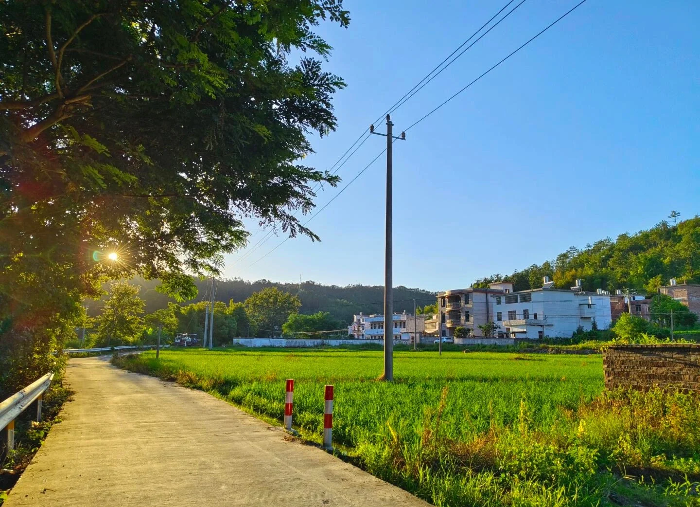 Jiangxi Countryside Rural Road Scene Peaceful village road beside green rice fields and hillside homes under sunlight - Jiangxi Travel Guide: Routes, Tips & Itineraries 2026 - The China Journey Jiangxi Countryside Rural Road Scene Peaceful village road beside green rice fields and hillside homes under sunlight - Jiangxi Travel Guide: Routes, Tips & Itineraries 2026 - The China Journey