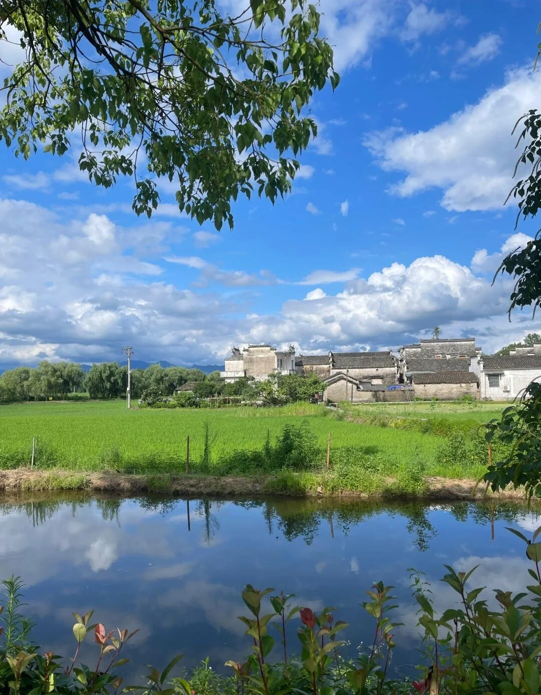 Paesaggio rurale dell'antico villaggio di Nanping Architettura tradizionale dell'Anhui accanto a campi verdi e acqua riflettente sotto un cielo luminoso - Guida di viaggio dell'Anhui: itinerari, consigli e percorsi 2026 - The China Journey Paesaggio rurale dell'antico villaggio di Nanping Architettura tradizionale dell'Anhui accanto a campi verdi e acqua riflettente sotto un cielo luminoso - Guida di viaggio dell'Anhui: itinerari, consigli e percorsi 2026 - The China Journey