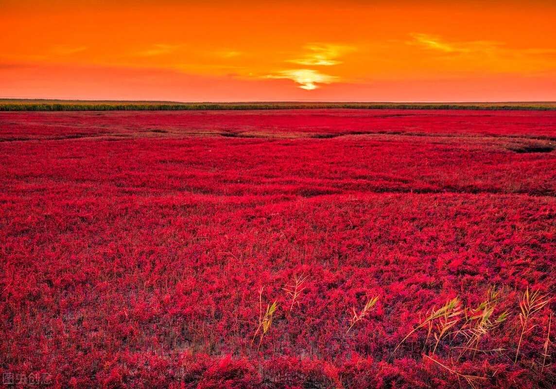 Sonnenuntergang am Roten Strand von Panjin, weite rote Feuchtgebiete unter dramatischem Abendhimmel – Liaoning-Reiseführer: Routen, Tipps & Reisepläne 2026 – The China Journey Sonnenuntergang am Roten Strand von Panjin, weite rote Feuchtgebiete unter dramatischem Abendhimmel – Liaoning-Reiseführer: Routen, Tipps & Reisepläne 2026 – The China Journey