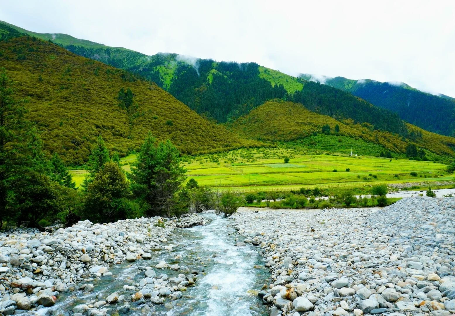 Paisaje de valle y río tibetanos, con un arroyo de montaña transparente que atraviesa un valle verde bajo colinas cubiertas de niebla - Guía de viaje al Tíbet: mejores rutas, consejos e itinerarios 2026 - The China Journey Paisaje de valle y río tibetanos, con un arroyo de montaña transparente que atraviesa un valle verde bajo colinas cubiertas de niebla - Guía de viaje al Tíbet: mejores rutas, consejos e itinerarios 2026 - The China Journey