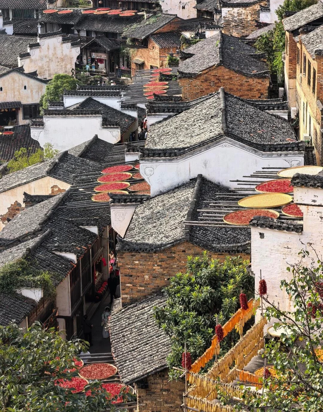 Wuyuan Huangling Ancient Village Rooftops Traditional Hui style houses with drying crops on rooftops scenic Jiangxi - Jiangxi Travel Guide: Routes, Tips & Itineraries 2026 - The China Journey Wuyuan Huangling Ancient Village Rooftops Traditional Hui style houses with drying crops on rooftops scenic Jiangxi - Jiangxi Travel Guide: Routes, Tips & Itineraries 2026 - The China Journey