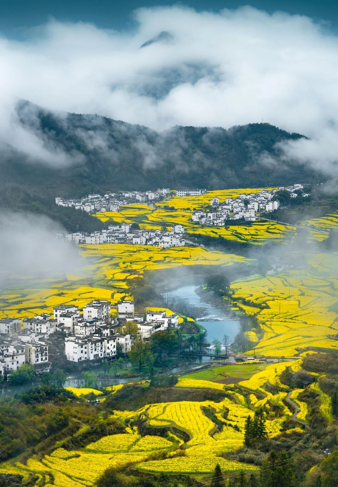 Wuyuan Jiangling Rapeseed Flower Terraces Golden blooming fields surrounding traditional villages in misty mountain countryside Jiangxi - Jiangxi Travel Guide: Routes, Tips & Itineraries 2026 - The China Journey Wuyuan Jiangling Rapeseed Flower Terraces Golden blooming fields surrounding traditional villages in misty mountain countryside Jiangxi - Jiangxi Travel Guide: Routes, Tips & Itineraries 2026 - The China Journey