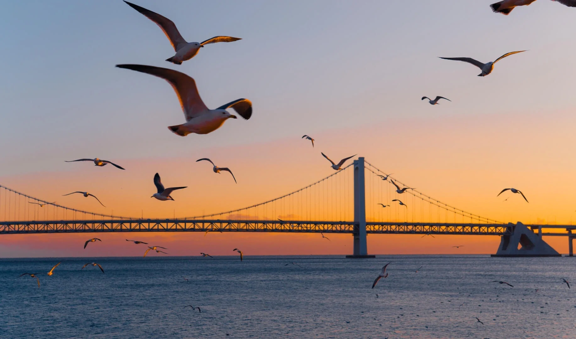 Sonnenuntergang am Xinghai-Platz in Dalian mit Möwen über dem Meer und Hängebrücke vor orangefarbenem Himmel – Liaoning-Reiseführer: Routen, Tipps & Reisepläne 2026 – The China Journey Sonnenuntergang am Xinghai-Platz in Dalian mit Möwen über dem Meer und Hängebrücke vor orangefarbenem Himmel – Liaoning-Reiseführer: Routen, Tipps & Reisepläne 2026 – The China Journey