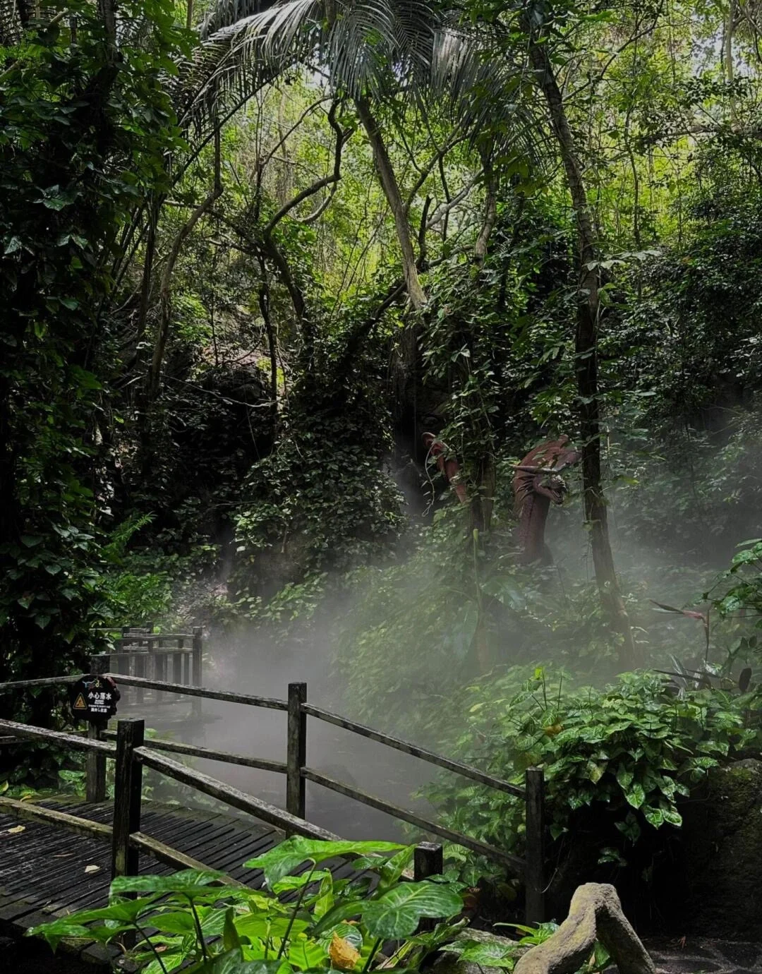 Laluan pejalan kaki hutan Hujan Yanoda dengan laluan kayu melalui hutan tropika berkabus, kehijauan lebat dan suasana lembap - Panduan Perjalanan Hainan: Tempat untuk Dikunjungi, Laluan & Tip 2026 - The China Journey Laluan pejalan kaki hutan Hujan Yanoda dengan laluan kayu melalui hutan tropika berkabus, kehijauan lebat dan suasana lembap - Panduan Perjalanan Hainan: Tempat untuk Dikunjungi, Laluan & Tip 2026 - The China Journey