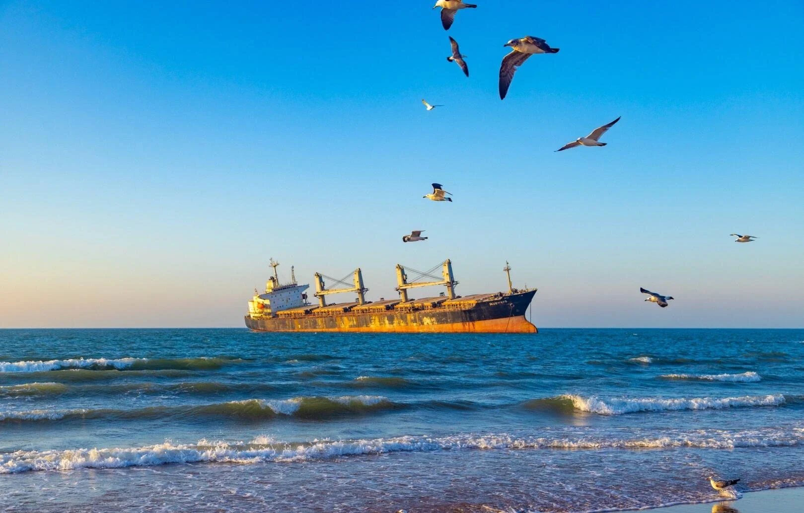Frachtschiff Bruwis vor der Küste von Weihai, großes Schiff nahe dem Ufer mit Möwen über den Meereswellen – Weihai-Reiseführer: Sehenswürdigkeiten, Strände & Tipps 2026 – The China Journey Frachtschiff Bruwis vor der Küste von Weihai, großes Schiff nahe dem Ufer mit Möwen über den Meereswellen – Weihai-Reiseführer: Sehenswürdigkeiten, Strände & Tipps 2026 – The China Journey