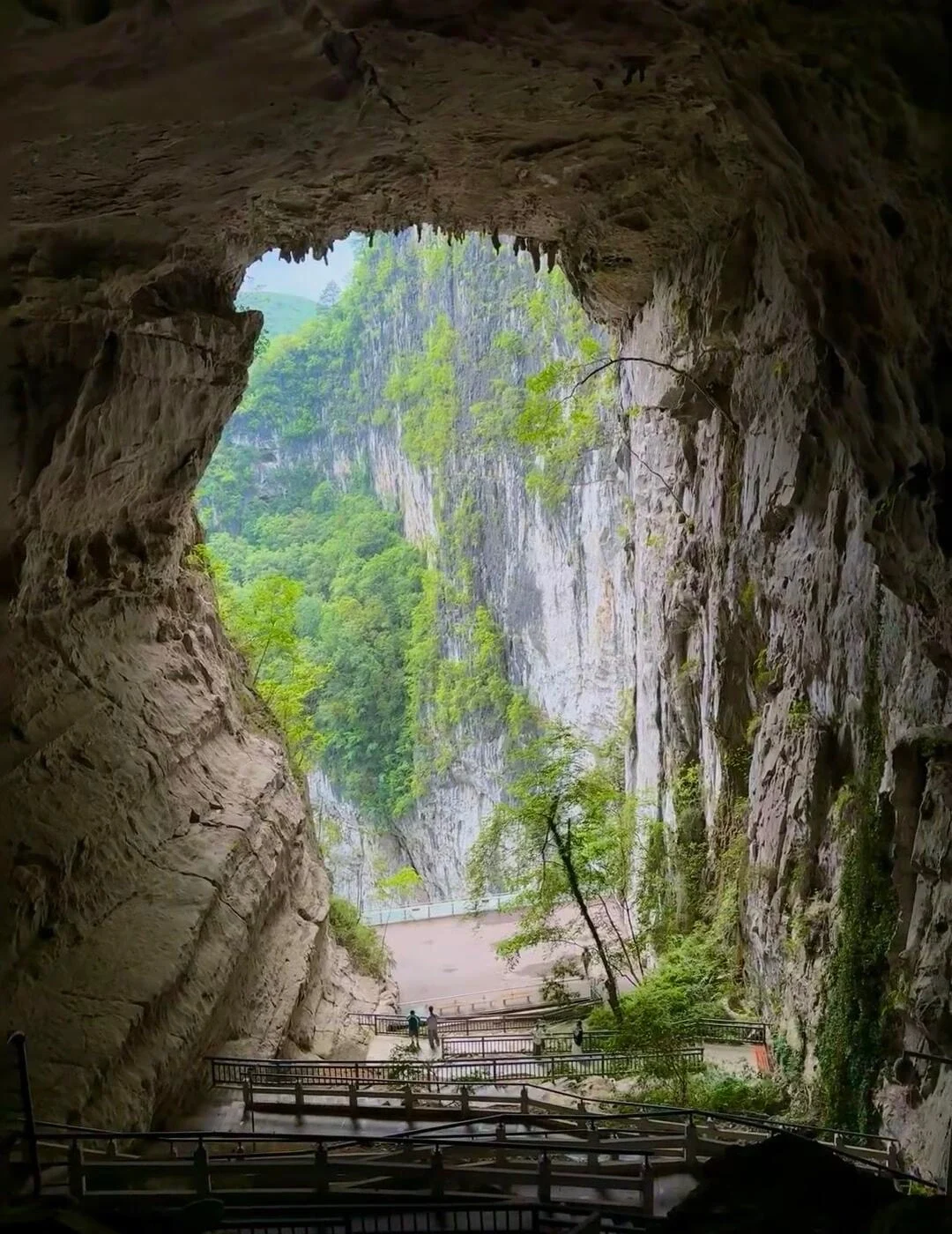 Natürliches Fenster im Dashiwei Tiankeng mit Höhlenöffnung, die grüne Felsen und einen Weg in Guangxis Karstlandschaft einrahmt - Nanning-Reiseführer: Lohnt sich ein Besuch? 2026 - The China Journey Natürliches Fenster im Dashiwei Tiankeng mit Höhlenöffnung, die grüne Felsen und einen Weg in Guangxis Karstlandschaft einrahmt - Nanning-Reiseführer: Lohnt sich ein Besuch? 2026 - The China Journey