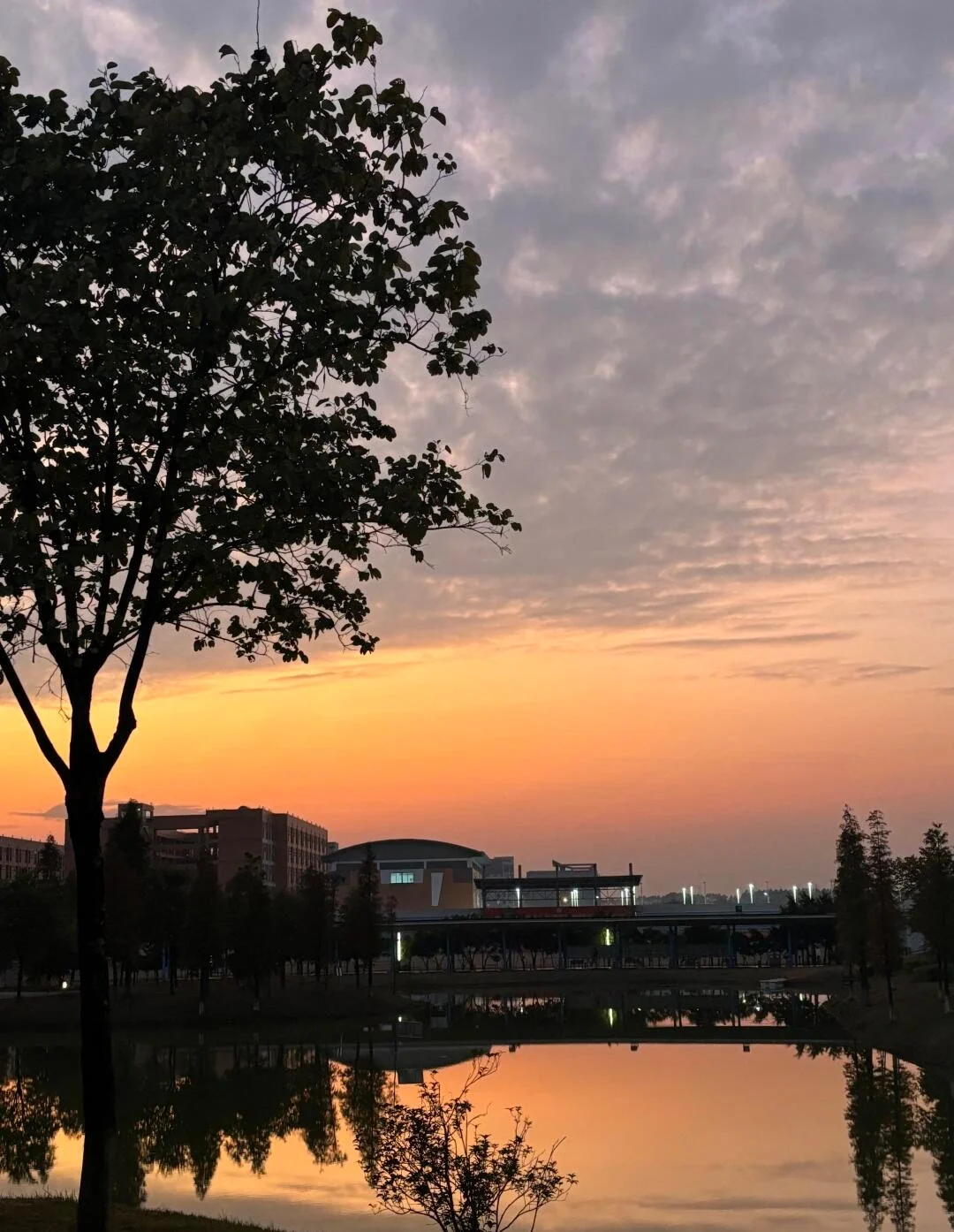 Zomerzonsondergang met weerspiegeling in Foshan, warme oranje lucht boven kalm water met silhouetten van bomen en stadsgebouwen - Reisgids voor Foshan: beste routes, eten en tips 2026 - The China Journey Zomerzonsondergang met weerspiegeling in Foshan, warme oranje lucht boven kalm water met silhouetten van bomen en stadsgebouwen - Reisgids voor Foshan: beste routes, eten en tips 2026 - The China Journey